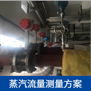 渦街流量計(jì)在蒸汽計(jì)量上的應(yīng)用
