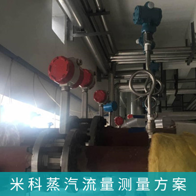 渦街流量計(jì)飽和蒸汽計(jì)量系統(tǒng)解決方案