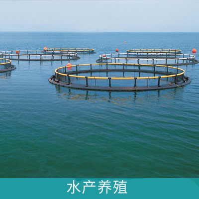 在線溶氧儀在水產養殖水質監測上的應用